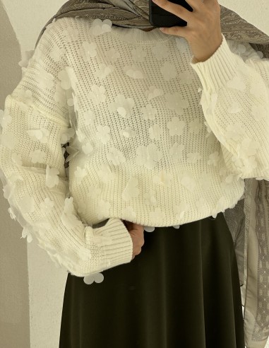 7958 Angora Kaban ANTRASİT